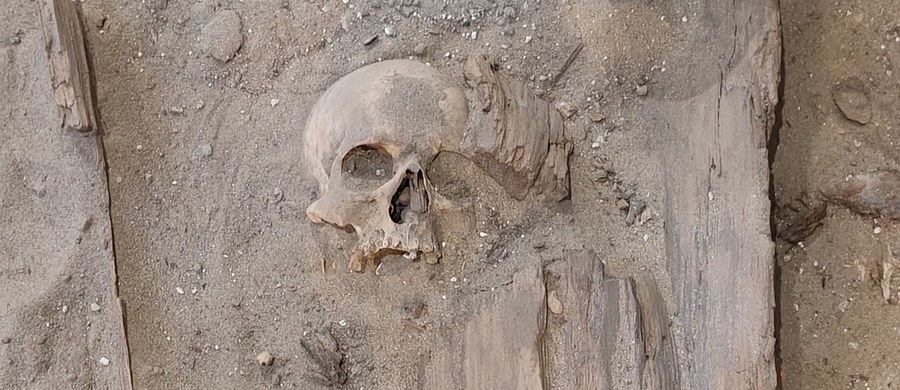 Badania archeologiczne prowadzone w kościele parafialnym w Cegłowie przyniosły kolejne odkrycia. Oprócz krypty pod posadzką świątyni znaleziono zniszczone trumny oraz czaszki i kości.