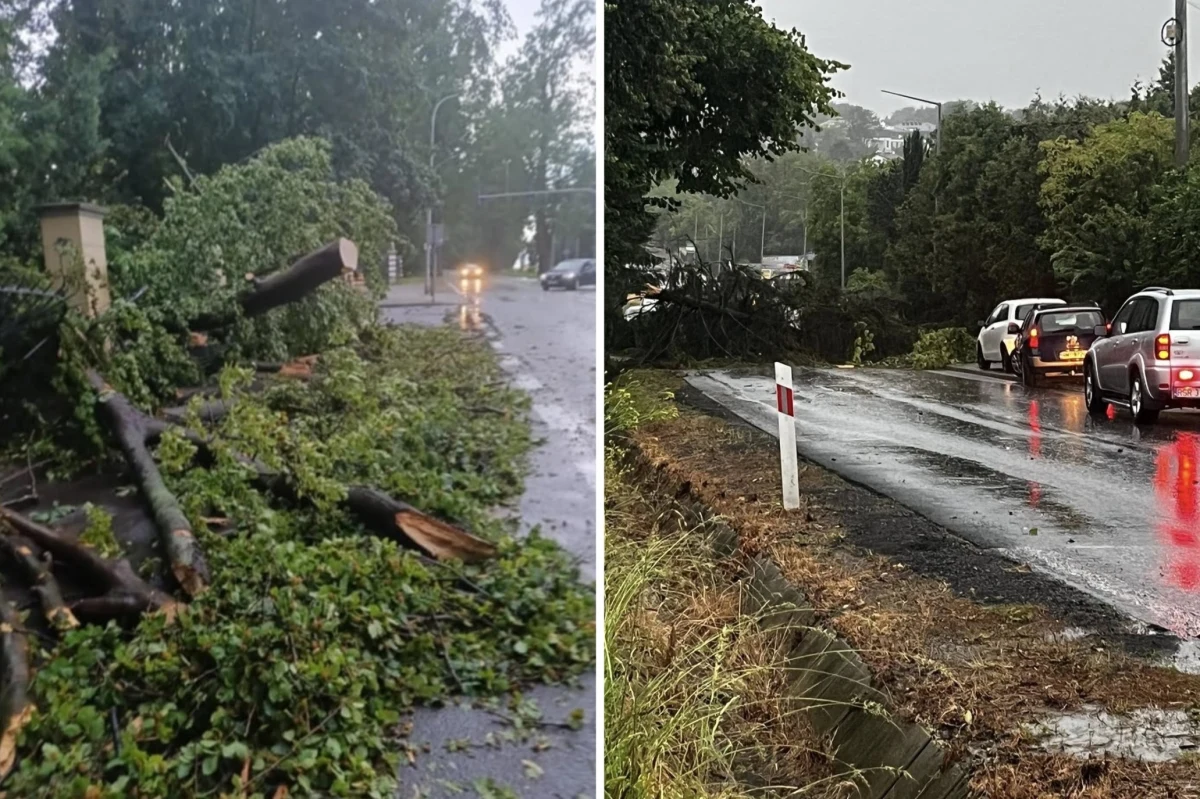 4 osoby zostały ranne i trafiły do szpitali w wyniku intensywnych burz, które przeszły w poniedziałek nad Podkarpaciem. Strażacy interweniowali tam już blisko 1200 razy. W innych regionach kraju sytuacja także jest poważna.