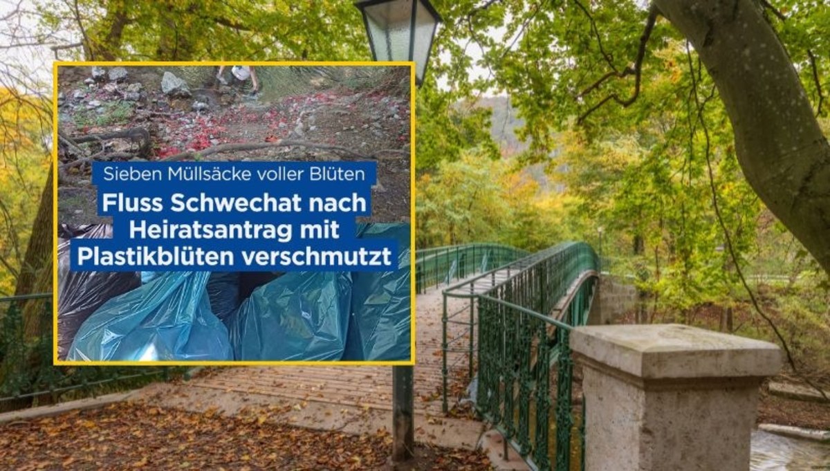 Romantyczne oświadczyny zamieniły rzekę w plastikowy koszmar