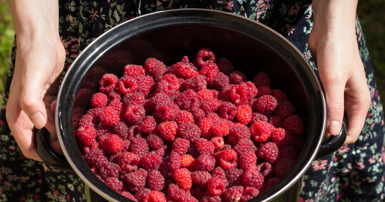 Myjesz maliny przed jedzeniem? Ekspert wyjaśnia, czy to konieczne