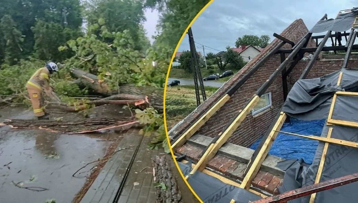 Kulminacyjny moment opadów przypadnie w nocy z wtorku na środę. "Spodziewane są lokalnie intensywne opady deszczu z porywistym wiatrem, który może nieść ze sobą określone zniszczenia dla budynków mieszkalnych i gospodarczych – to, co miało miejsce na terenie województwa podkarpackiego – dlatego przygotowujemy się na najgorsze" – powiedział we wtorek po południu wiceszef MSWiA Wiesław Leśniakiewicz. Reporter RMF FM dowiedział się z kolei, że straż pożarna przesuwa oddziały z północy kraju do województwa łódzkiego.
