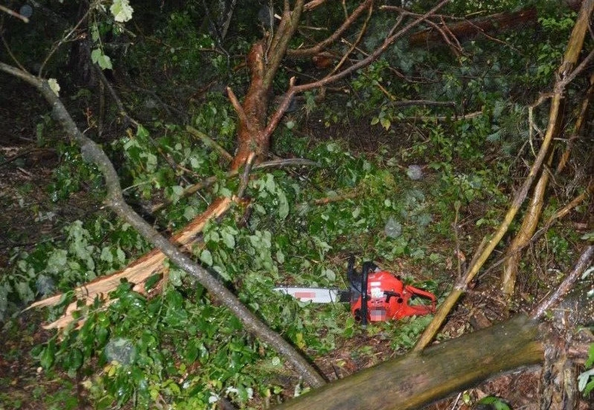 Nad Polską przechodzą intensywne opady deszczu i burze. W wielu przypadkach ich efektem są połamane drzewa. O tym, jak niebezpieczne może być usuwanie takich przeszkód samodzielnie, przekonał się 56-latek z Lubelszczyzny. 