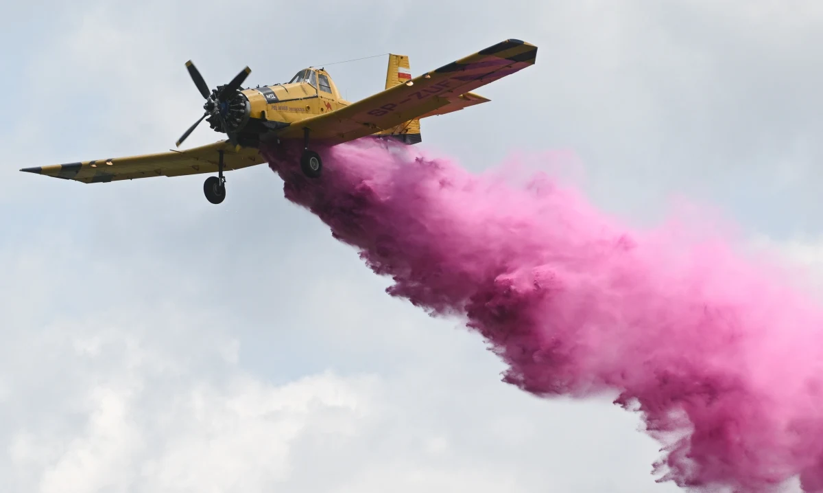 Po sześciu latach przerwy i w nieco zmienionej formule powróci Płocki Piknik Lotniczy. Pokazy odbędą się 9 sierpnia na lotnisku Aeroklubu Ziemi Mazowieckiej, a nie - jak wcześniej - nad Wisłą. Nowością będą loty widokowe oraz Nocne Air Show. Zaplanowano także wystawę ponad 40 statków powietrznych.