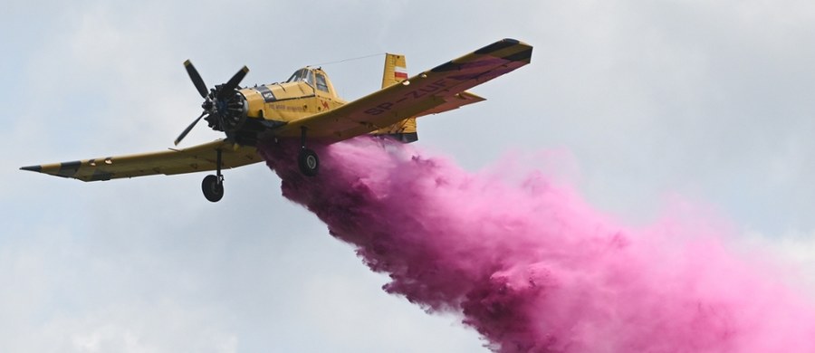 Po sześciu latach przerwy i w nieco zmienionej formule powróci Płocki Piknik Lotniczy. Pokazy odbędą się 9 sierpnia na lotnisku Aeroklubu Ziemi Mazowieckiej, a nie - jak wcześniej - nad Wisłą. Nowością będą loty widokowe oraz Nocne Air Show. Zaplanowano także wystawę ponad 40 statków powietrznych.