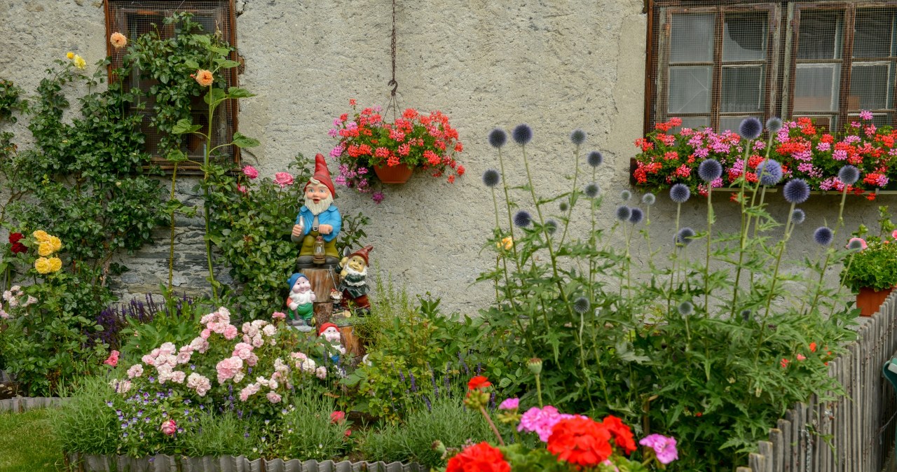 Burza w ogrodzie? Sprawdź, jak zabezpieczyć rośliny przed silnym wiatrem