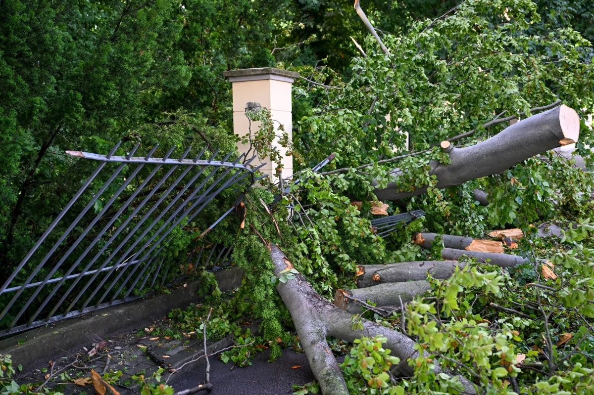 Wojewoda podkarpacka Teresa Kubas-Hul przekazała pierwsze środki finansowe samorządom na pomoc doraźną dla osób, które ucierpiały w wyniku poniedziałkowych burz. Największe wsparcie trafiło do gminy Łańcut, gdzie żywioł wyrządził najwięcej szkód.