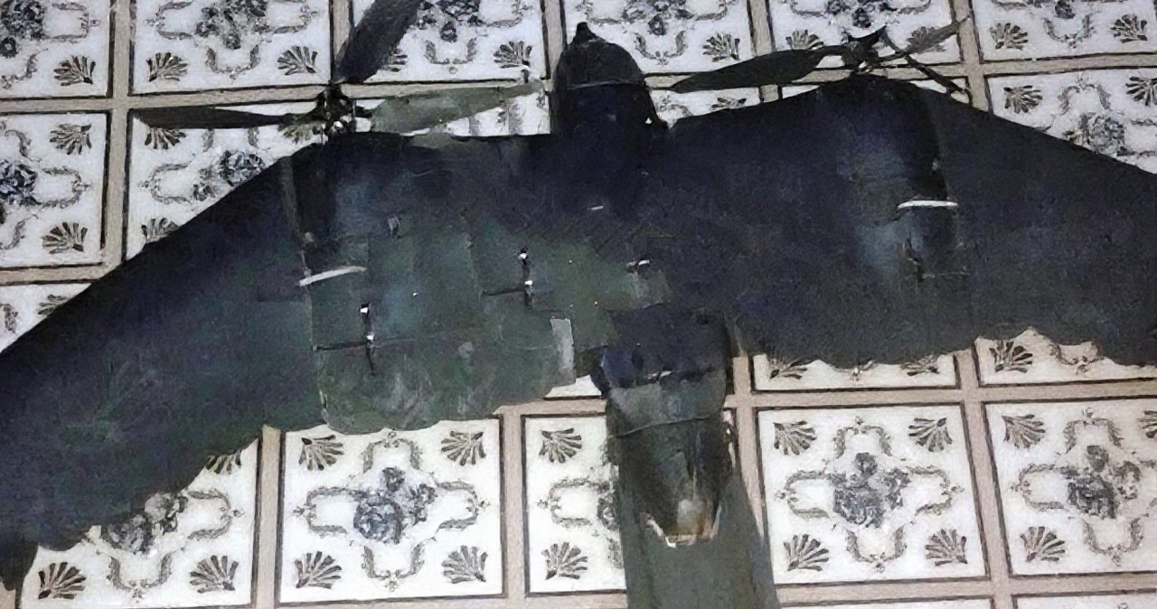 Ukraińcy myśleli, iż niebo zasłoniły ptaki. Mylili się