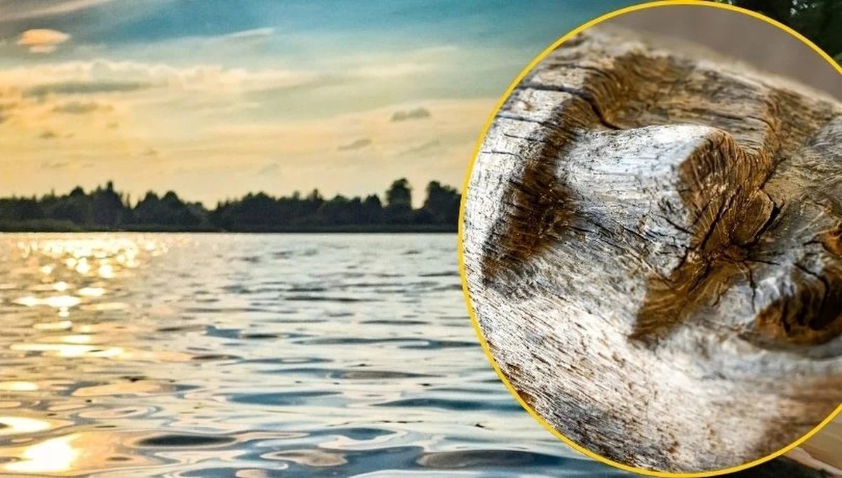 Niezwykłe znalezisko na dnie jeziora Lednica (Wielkopolskie). Archeolodzy natrafili na unikatową belkę z ludzką twarzą sprzed tysiąca lat. O tym sensacyjnym odkryciu poinformowało Muzeum Pierwszych Piastów na Lednicy. 