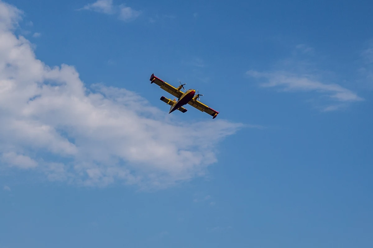 Najwyżsi rangą przedstawiciele władz Litwy - przewodniczący Sejmu Saulius Skvernelis oraz premier Gintautas Paluckas, zostali ewakuowani do schronów. Powodem była informacja o naruszeniu litewskiej przestrzeni powietrznej przez obiekt nadlatujący z Białorusi.