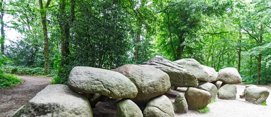 Przyrodnicy odkryli niedaleko Poznania megalityczne grobowce, które mają 5,5 tys. lat. Zbudowała je ludność kultury pucharów lejkowatych. Odkrycia dokonano na terenie Parku Krajobrazowego im. gen. Dezyderego Chłapowskiego. Jest to kolejne zgrupowanie tzw. polskich piramid z obszaru Wielkopolski.