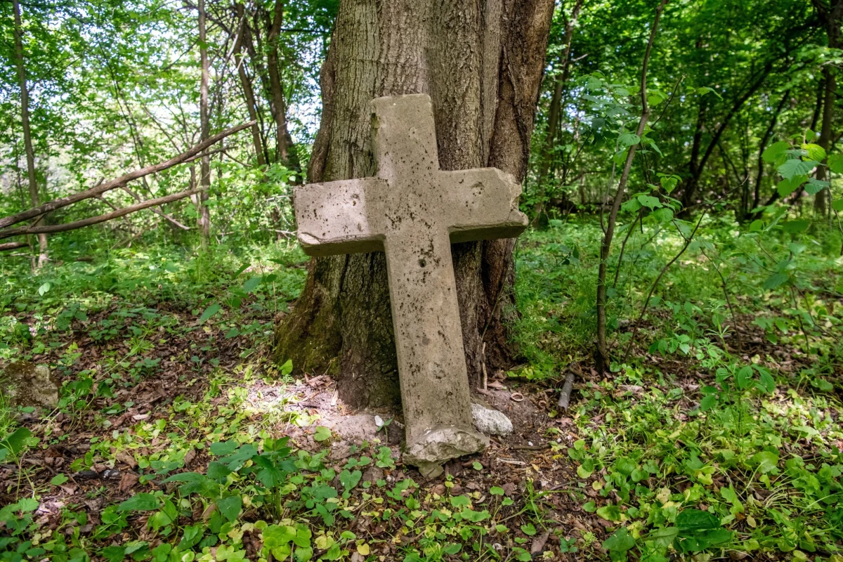 Ukraińskie ministerstwo spraw zagranicznych w Kijowie wydało oświadczenie w przededniu Dnia Pamięci ofiar tragedii wołyńskiej w Polsce. "Ukraina podziela ból i łączy się w żałobie z narodem polskim" - napisano.