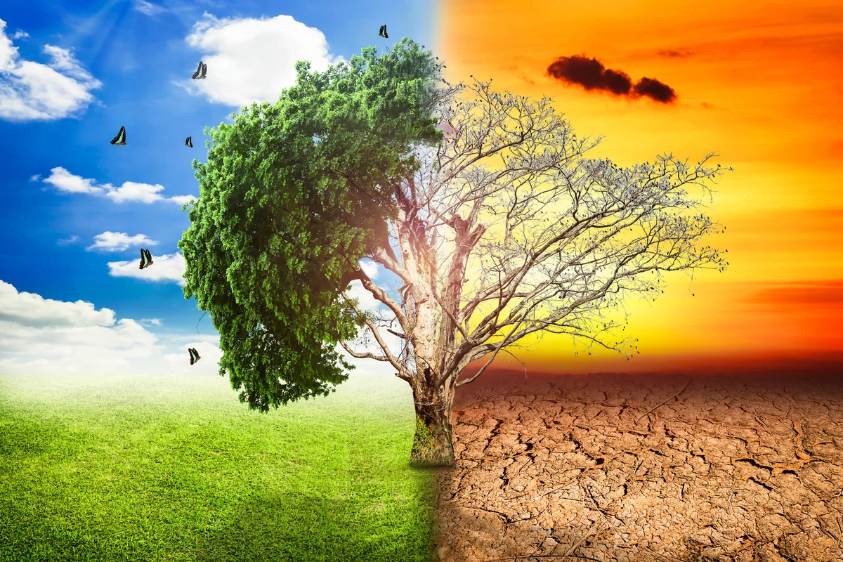 Dynamiczny rozwój technologii wykorzystujących sztuczną inteligencję może nie dać się pogodzić z ambitnymi celami klimatycznymi - przestrzegają naukowcy z Uniwersytetu w Cambridge. W opublikowanym raporcie eksperci Minderoo Centre for Technology and Democracy przewidują, że w ciągu najbliższych 15 lat zapotrzebowanie na energię ze strony sektora technologicznego wzrośnie od 5 do nawet 25 razy. I zastosowania związane ze sztuczną inteligencją będą tego główną przyczyną. Wzywają, by skończyć z magicznym myśleniem, że przy obecnych trendach rozwoju AI i aktualnym miksie energetycznym neutralność klimatyczna jest możliwa do osiągnięcia.