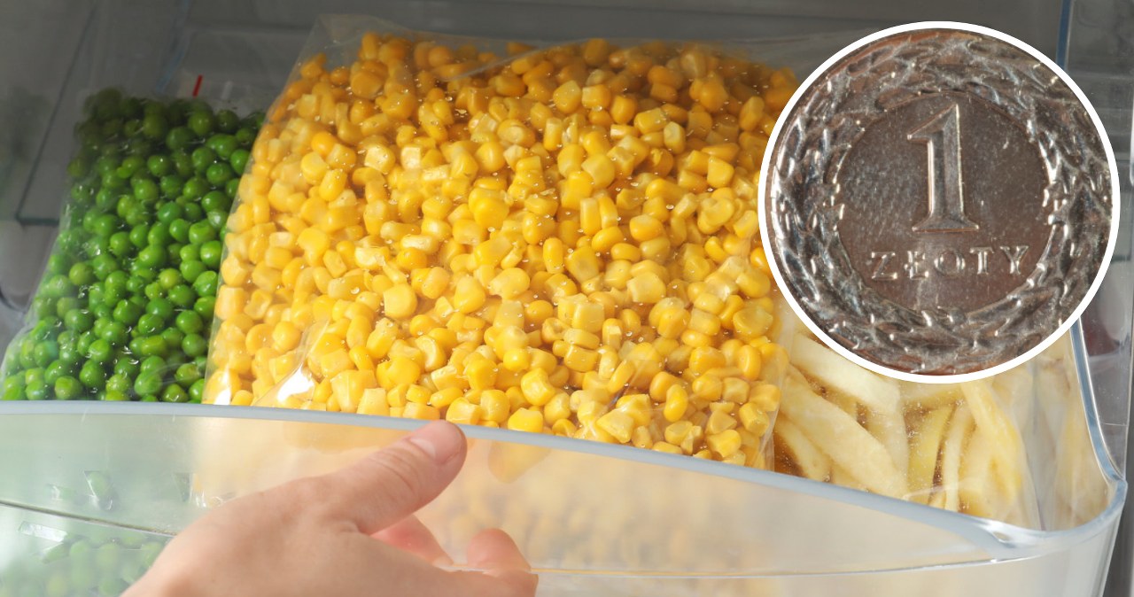 Wyjeżdżasz na urlop? Włóż monetę do zamrażarki, a po powrocie sobie podziękujesz