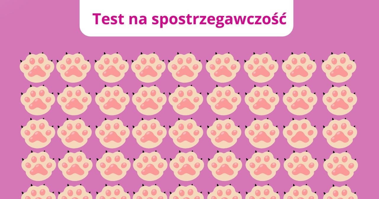 Ćwiczenie na koncentrację: która łapka nie jest taka jak inne?
