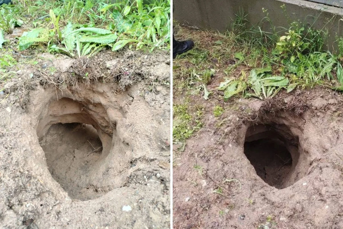 Grupa migrantów wykonała podkop pod zaporą techniczną na granicy polsko-białoruskiej. 18 osób zostało zatrzymanych. Trwają poszukiwania dwóch uciekinierów.