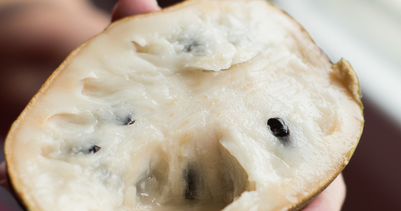 Wygląda jak jabłko, smakuje jak budyń. Przyspiesza przemianę materii i pomaga schudnąć