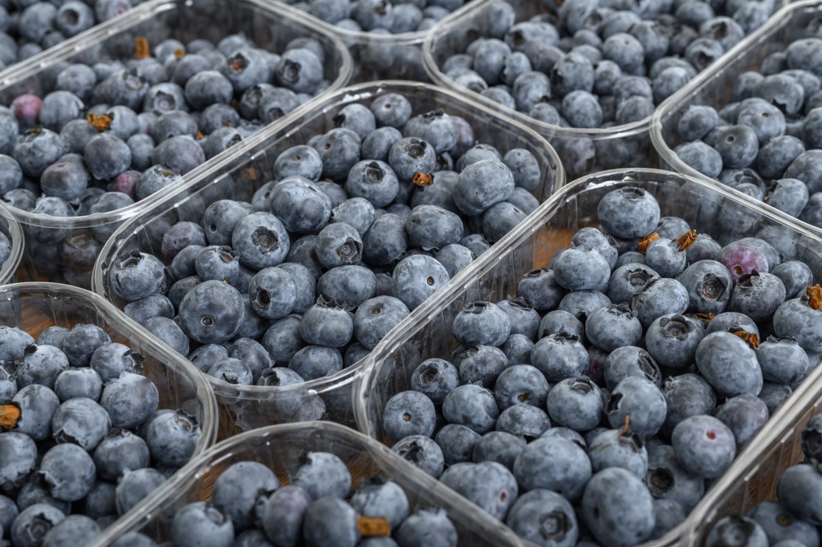 Jagody "na wagę złota". Cena może szokować