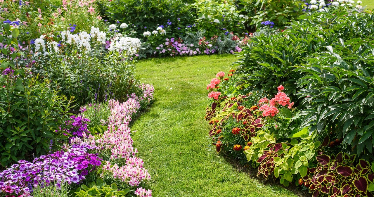 Nowy trend ogrodniczy będzie hitem 2026? Foodscaping pozwala wykorzystać każdy metr