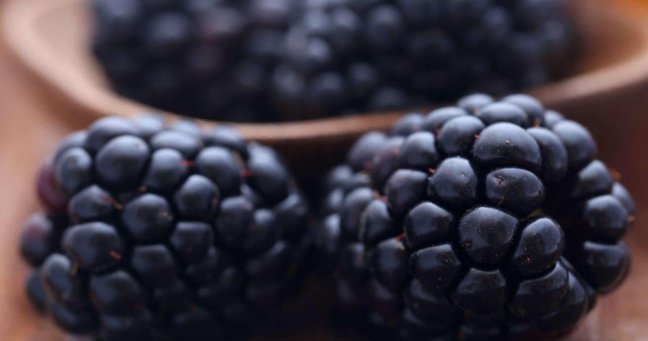 "Szara eminencja" na działce. Reguluje pracę jelit i wygładza skórę