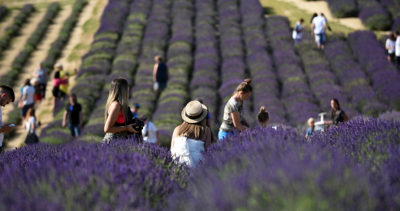 Mamy prognozę na długi weekend. Czas zmienić plany?