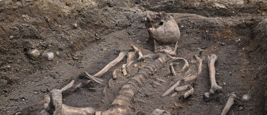 Archeolodzy w Gdańsku na początku lipca odkryli pochodzącą z XIII wieku wapienną płytą nagrobną z wizerunkiem rycerza. Teraz dokonali kolejnego zaskakującego odkrycia – pod płytą odnaleziono kompletny szkielet ludzki. Według wstępnych szacunków zmarły miał około 180 centymetrów wzrostu, co w tamtych czasach było ponadprzeciętnym wynikiem.