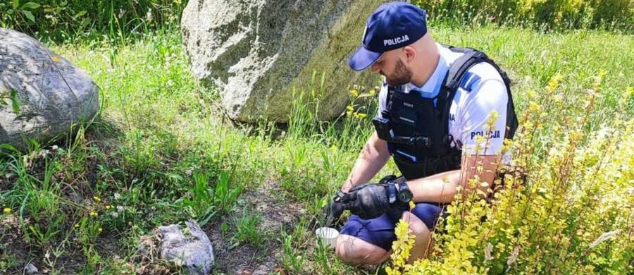 Policjanci z ogniwa wodno-rowerowego, pełniący służbę na terenie Sopotu, otrzymali zgłoszenie o rannej mewie, która miała zostać potrącona przez samochód. Zgłoszenie natychmiast uruchomiło lawinę działań ratunkowych, policjanci zaopiekowali się rannym ptakiem.