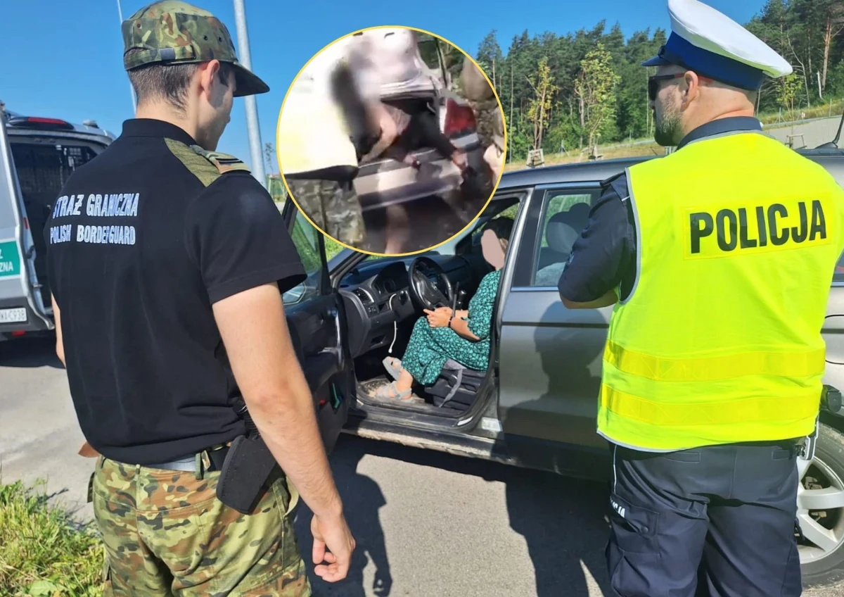 Funkcjonariusze straży granicznej z Rutki-Tartak i policjanci z Komendy Powiatowej Policji w Ełku zatrzymali kobietę przewożącą dwóch obywateli Syrii. Jak ustalono, cudzoziemcy nielegalnie przekroczyli granicę polsko-litewską. Z kolei w miejscowości Krejwiany patrol straży granicznej i Wojsk Obrony Terytorialnej ujął trzech przemytników, którzy przewozili w bagażniku obywateli Somalii i jednego Sudańczyka.