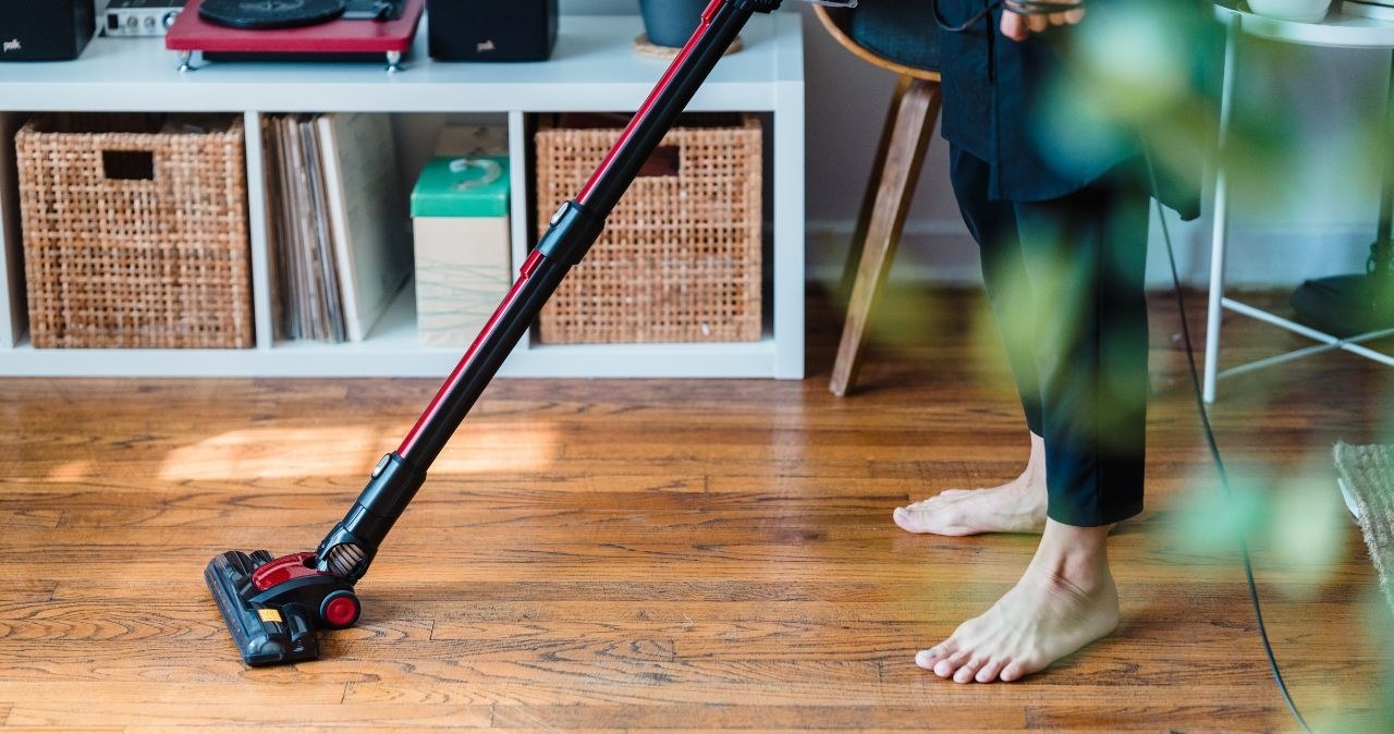 Myślałeś, iż to tylko kurz? To może być wylęgarnia kleszczy