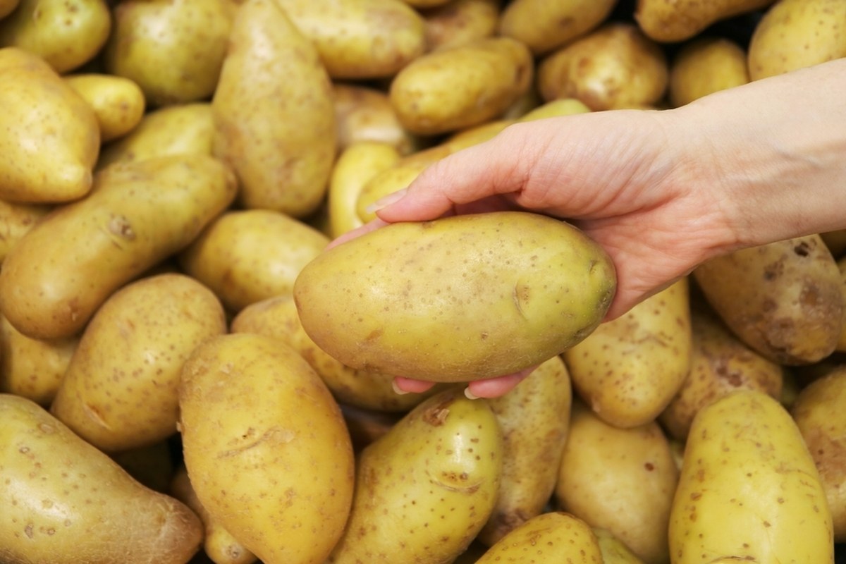 Niskie ceny wczesnych ziemniaków
