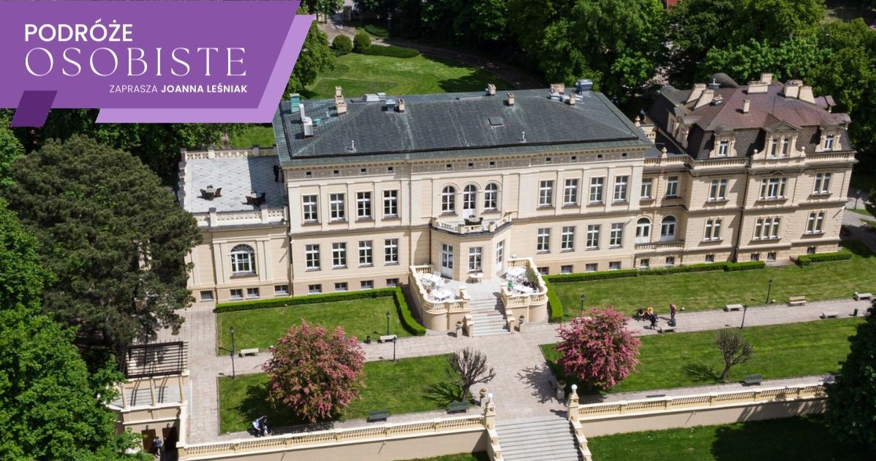 Białego kruka znaleźli w komisie. To jeden z trzech egzemplarzy na świecie