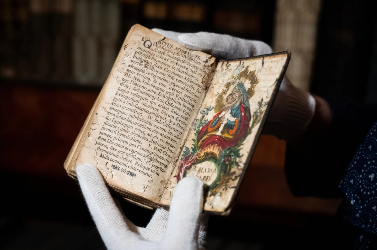 W opactwie Pannonhalma trwa dramatyczna walka z czasem i szkodnikami. Najstarsza biblioteka na Węgrzech, posiadająca bezcenne zbiory, staje przed wyzwaniem ocalenia 100 000 ręcznie oprawionych ksiąg przed inwazją chrząszczy. 