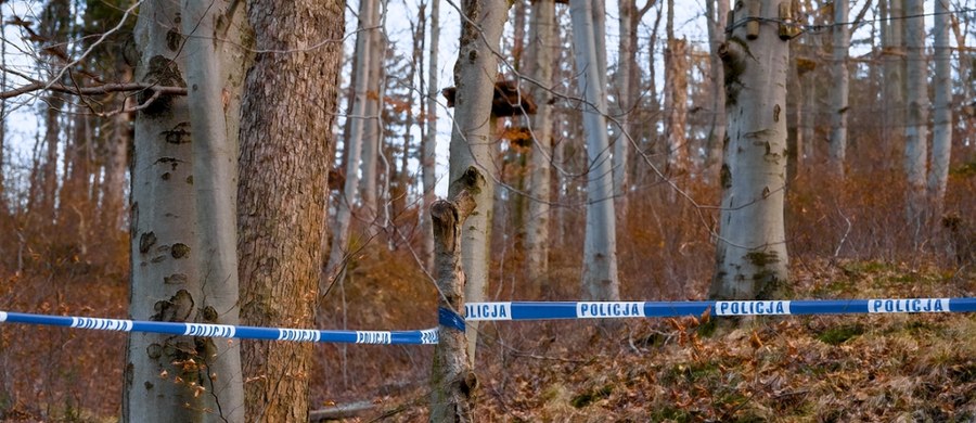 W jednym z kompleksów leśnych na terenie Myślenic odnaleziono ciało poszukiwanego od wczoraj 30-letniego mężczyzny. Wszystko wskazuje na to, że do jego śmierci nie przyczyniły się osoby trzecie.