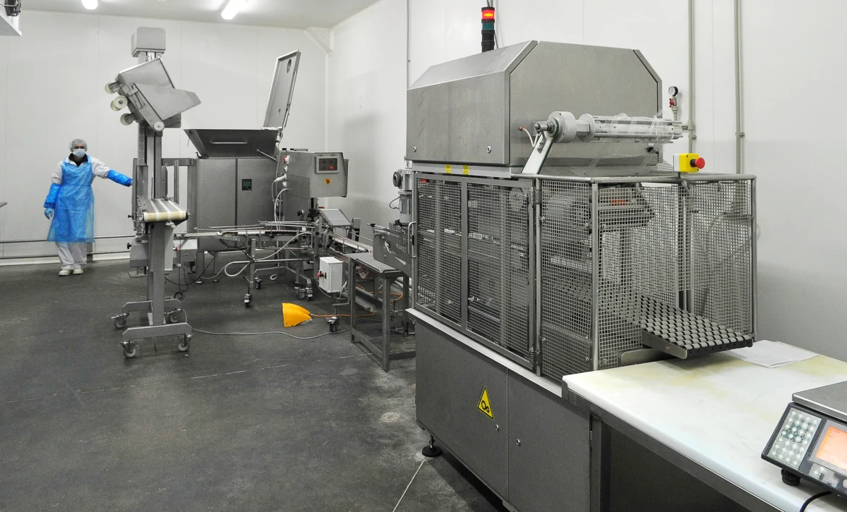 Nie żyje 19-latek, który został wciągnięty przez maszynę do mielenia mięsa w jednym z zakładów na południu Kalifornii. Inni pracownicy słyszeli krzyki nastolatka, ale nie zdołali mu pomóc.