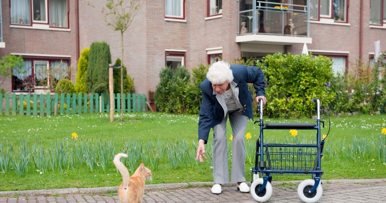 Jeszcze nie czternastka, ale w sierpniu emeryci dostaną inne świadczenia