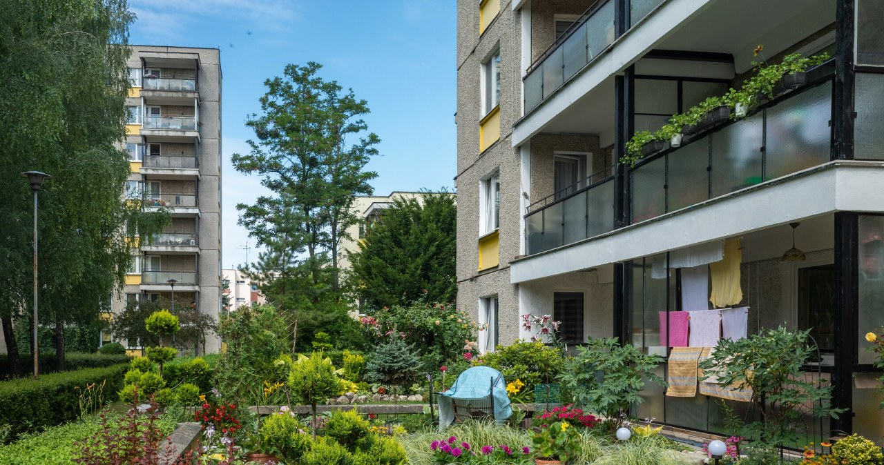 Jak założyć ogródek pod blokiem i nie narazić się na kary czy konflikty?