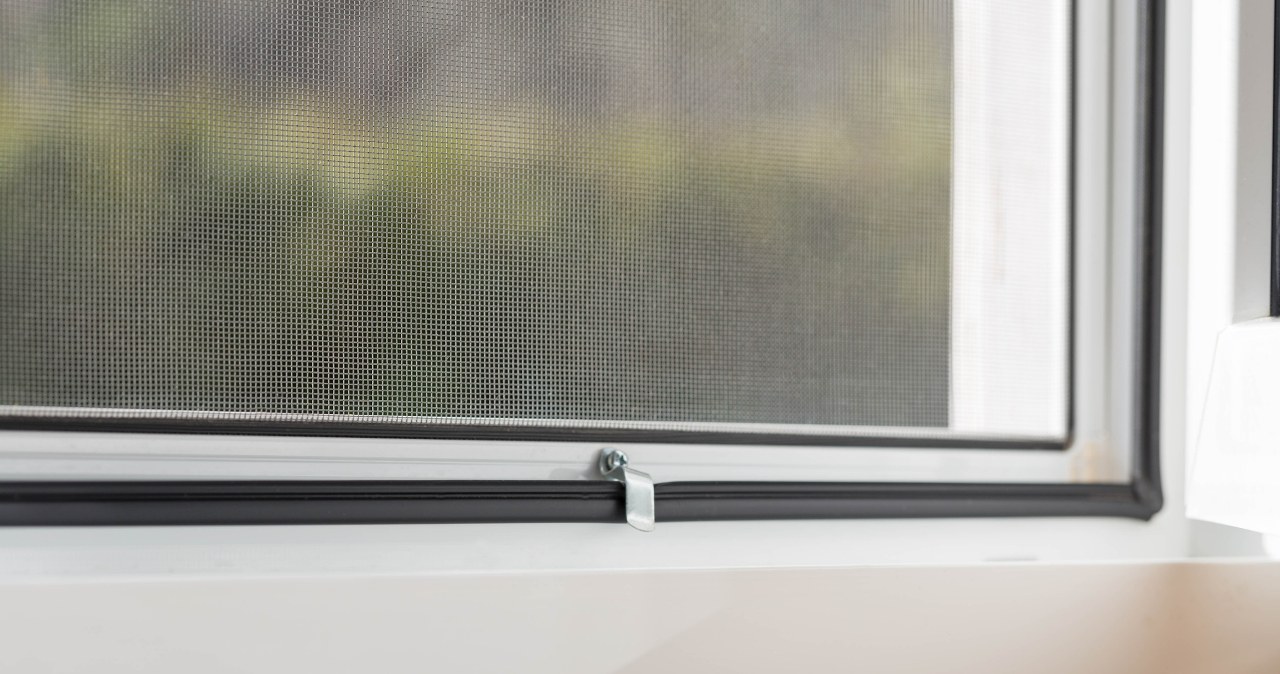 Jeden błąd i będzie do wyrzucenia. Zwróć uwagę na miękkość włosia