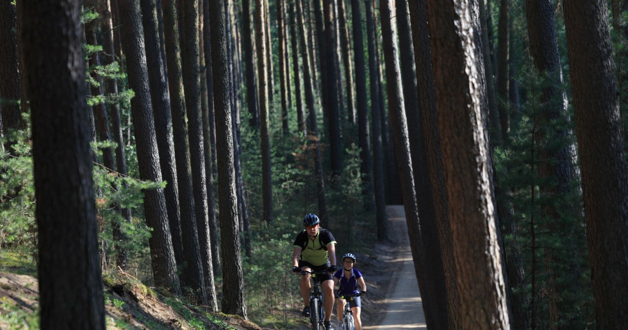 Odpoczynek Polaków we wrześniu. Pakują się i jadą. Nie potrzebują paszportu