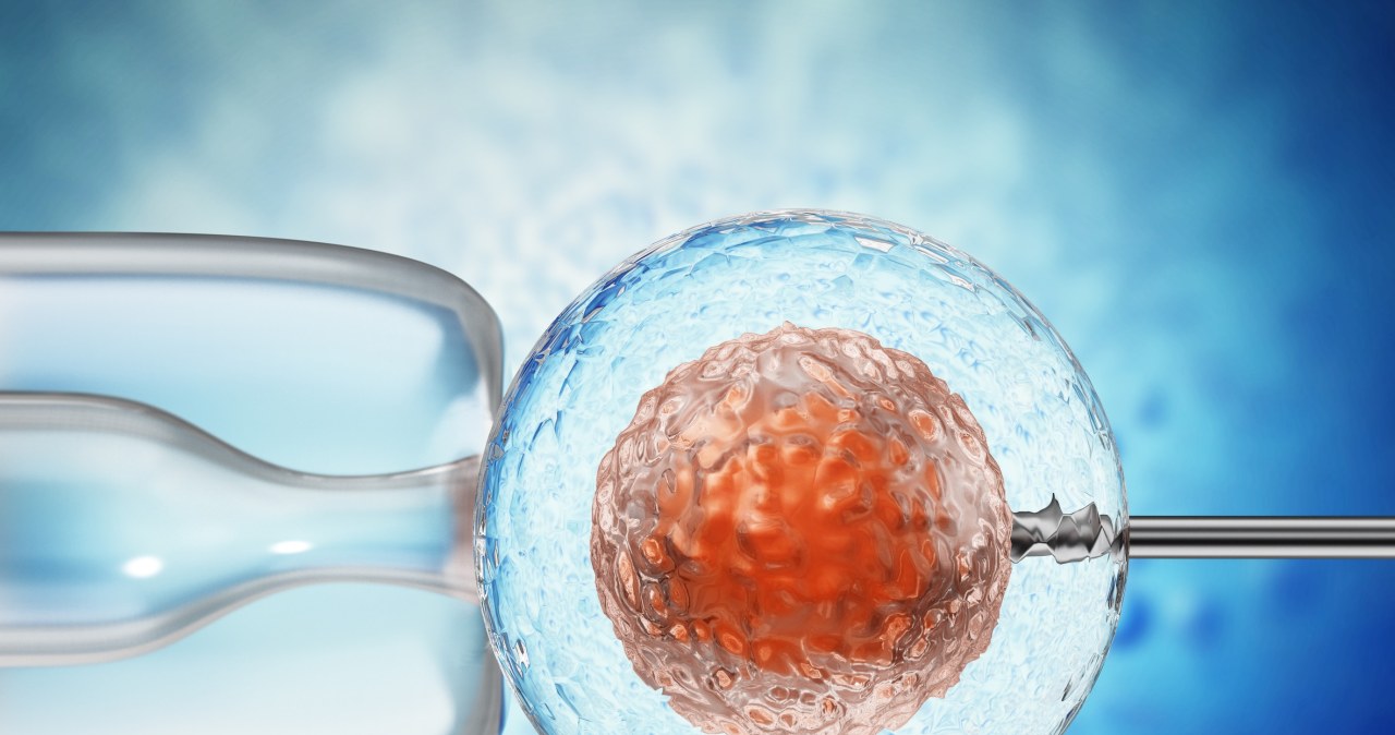 Urodziło się ośmioro wyjątkowych dzieci. Mają DNA trzech osób