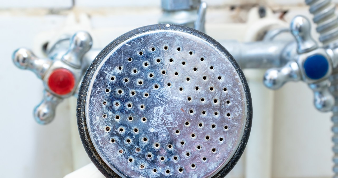 Jak odkamienić słuchawkę prysznicową? Ten patent działa najlepiej