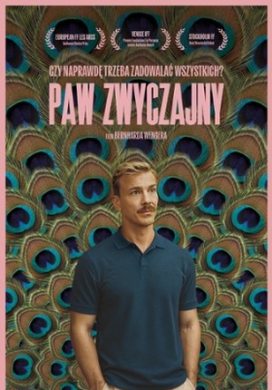Paw zwyczajny