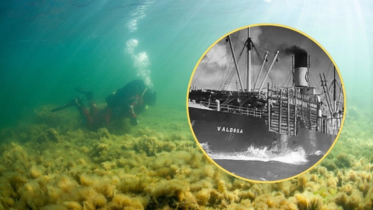 Na dnie Bałtyku, na głębokości około 90 metrów, nurkowie z grupy "Baltictech" dokonali niezwykłego odkrycia. Odnaleźli wrak niemieckiego parowca "Baltenland", który brał udział w jednej z największych operacji ewakuacyjnych w historii – Hannibal. Odkrycie to rzuca nowe światło na dramatyczne wydarzenia z końca II wojny światowej i pozwala lepiej zrozumieć skalę i przebieg historycznej akcji.