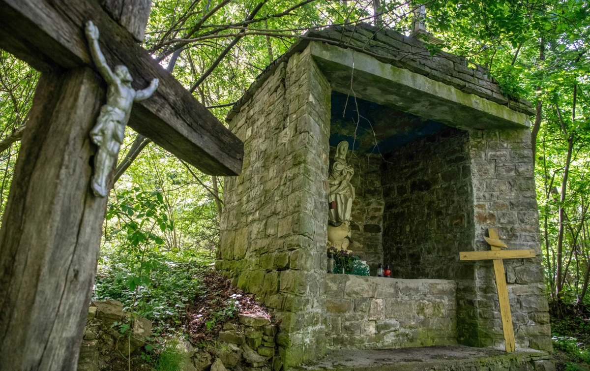 To był ważny dzień dla mieszkańców Ratowic pod Wrocławiem. Rozpoczął się tam VIII Ogólnopolski Zjazd Nowosiółczan i Puźniczan, potomków i ocalałych z ludobójstwa dokonanego przez ukraińskich nacjonalistów. Jak relacjonował reporter RMF FM Marcin Buczek, tegoroczne uroczystości miały wyjątkowy charakter. Wszystko za sprawą wiosennych ekshumacji, podczas których odnaleziono szczątki ponad 40 ofiar. Pamięć o nieistniejącej już wsi Puźniki jest w Ratowicach wciąż żywa i bolesna.