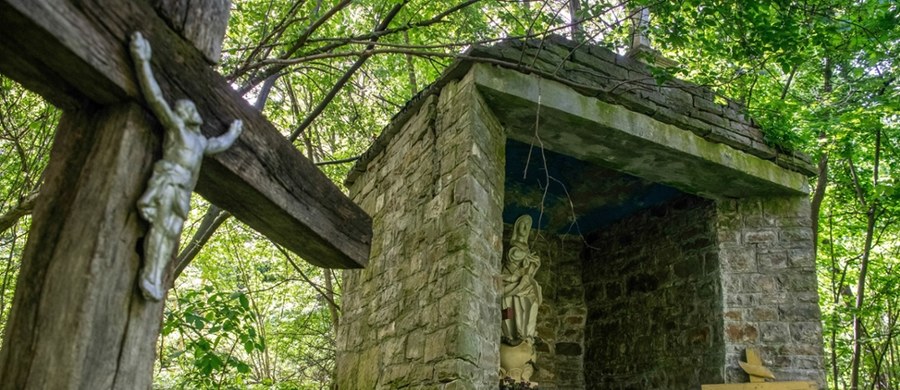 To był ważny dzień dla mieszkańców Ratowic pod Wrocławiem. Rozpoczął się tam VIII Ogólnopolski Zjazd Nowosiółczan i Puźniczan, potomków i ocalałych z ludobójstwa dokonanego przez ukraińskich nacjonalistów. Jak relacjonował reporter RMF FM Marcin Buczek, tegoroczne uroczystości miały wyjątkowy charakter. Wszystko za sprawą wiosennych ekshumacji, podczas których odnaleziono szczątki ponad 40 ofiar. Pamięć o nieistniejącej już wsi Puźniki jest w Ratowicach wciąż żywa i bolesna.