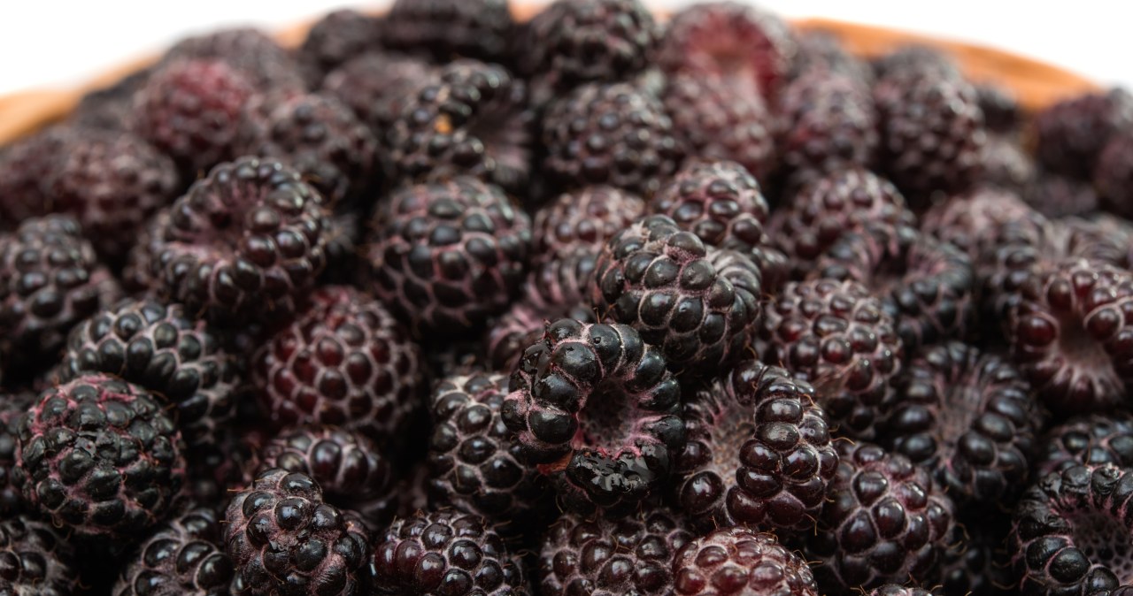 Tak samo zdrowe, jak czerwone. Maliny wspierają pracę serca i oczu