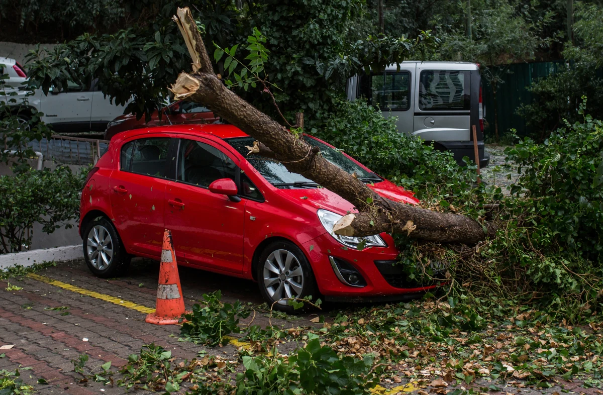 Ostrzeżenia przed burzami z gradem, silnym deszczem i upałem wydał w poniedziałek rano Instytut Meteorologii i Gospodarki Wodnej. W zachodnich województwach opady deszczu mogą osiągnąć do 90 mm. Burzom towarzyszyć będzie silny wiatr i lokalnie grad. Gdzie i kiedy będzie najbardziej niebezpiecznie?