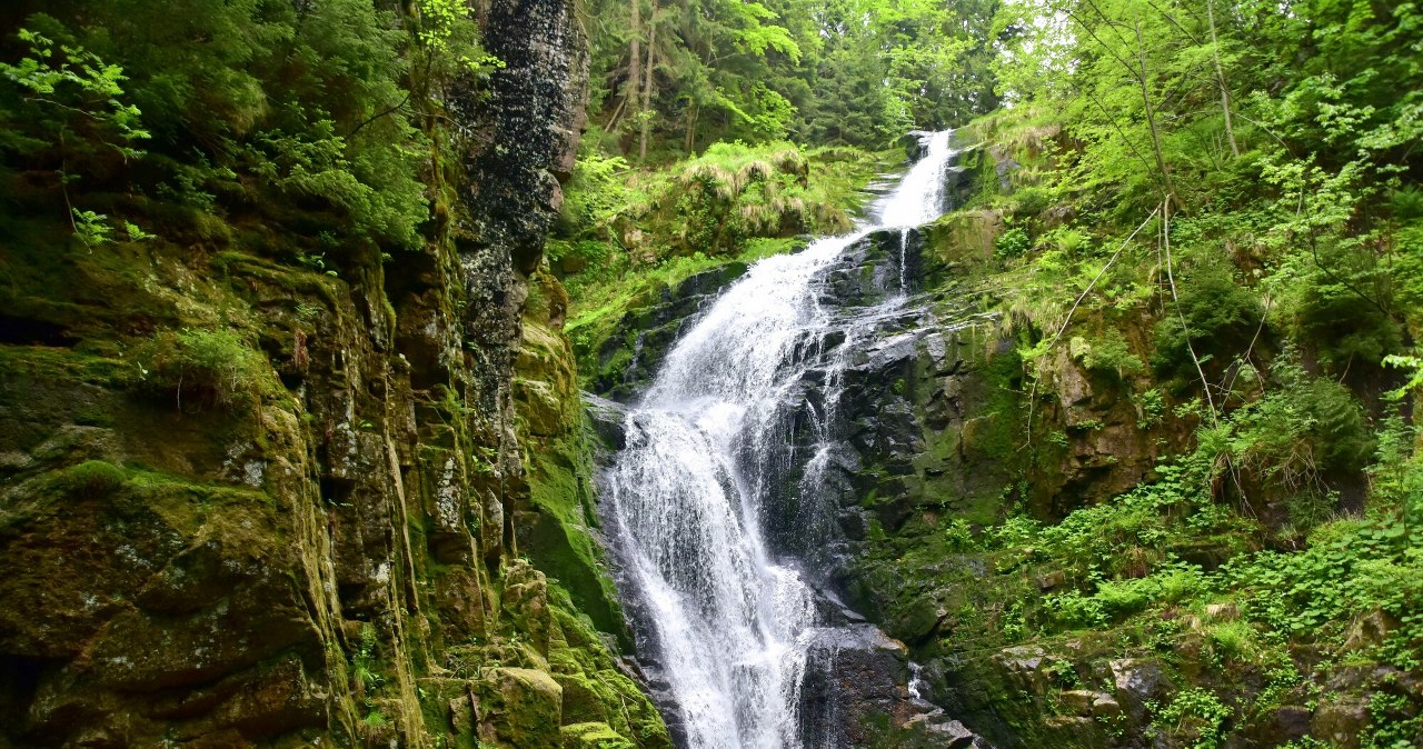 Kręcili tu hollywoodzki hit. Tak piękne miejsce znajduje się w Polsce Kręcili tu hollywoodzki hit. Tak piękne miejsce znajduje się w Polsce