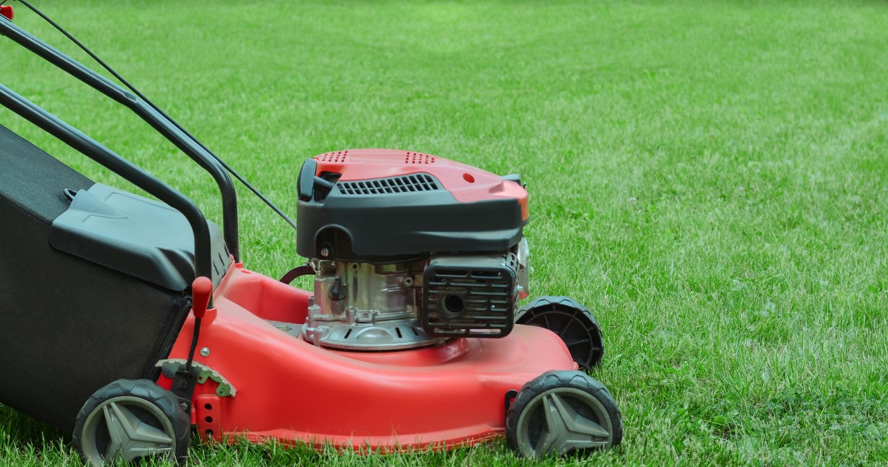 Jak dbać o trawnik w sierpniu? O tym zabiegu nie możesz zapomnieć