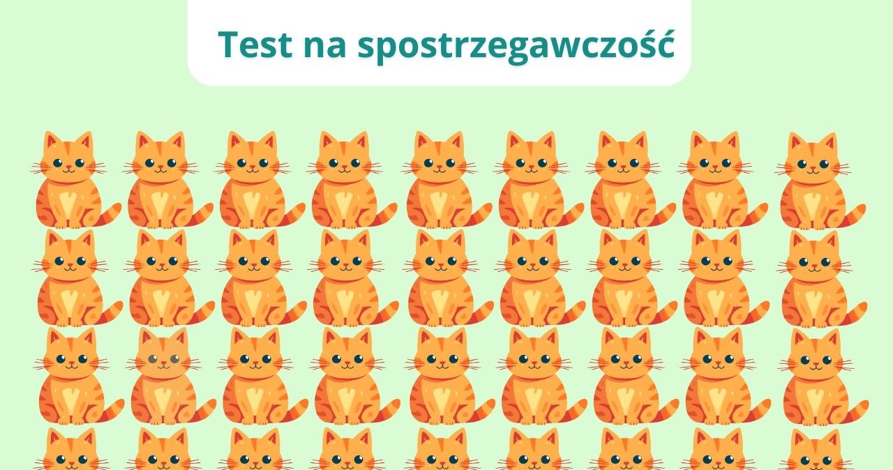 Błyskawiczny test dla bystrzaków: Który kot nie pasuje do reszty?