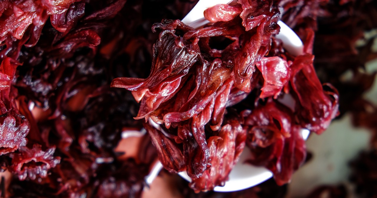 Prawdziwy dar morza. Czerwone algi wzmocnią tarczycę i odporność