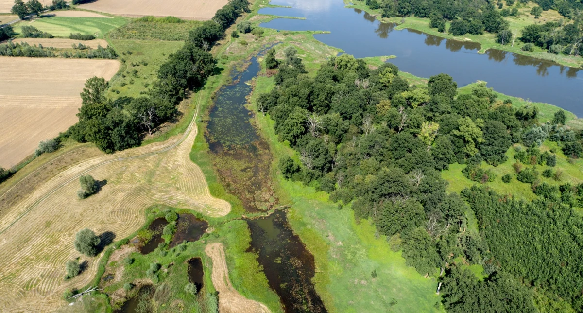 W sierpniu rząd ma przyjąć projekt ustawy o utworzeniu Parku Narodowego Doliny Dolnej Odry (w województwie zachodniopomorskim) - wynika z założeń projektu, o których poinformowano w poniedziałek na stronie Kancelarii Prezesa Rady Ministrów. Przyjęcie projektu rozporządzenia określającego granice nowego parku zaplanowano na III kwartał br.